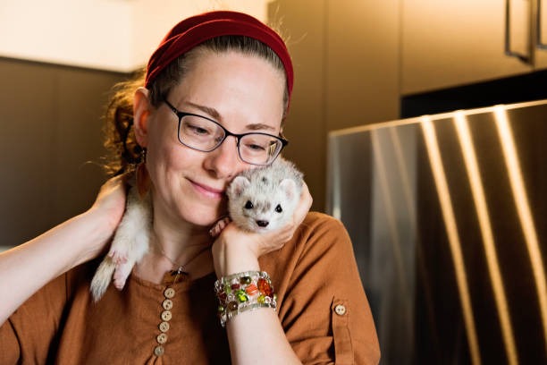 Ferret Care Guide